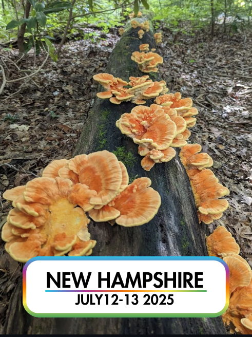 Wild Mushroom Food Safety Certification TIER 1 - NEW HAMPSHIRE - JUL 12-13, 2025