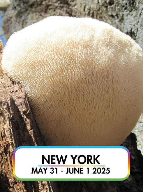 Wild Mushroom Food Safety Certification - NEW YORK - MAY 31 - JUNE 1, 2025