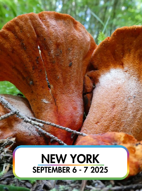 Wild Mushroom Food Safety Certification - NEW YORK - SEPT 6-7, 2025