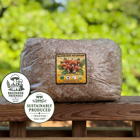 Nameko - (Pholiota nameko) Sawdust Spawn - 5lb