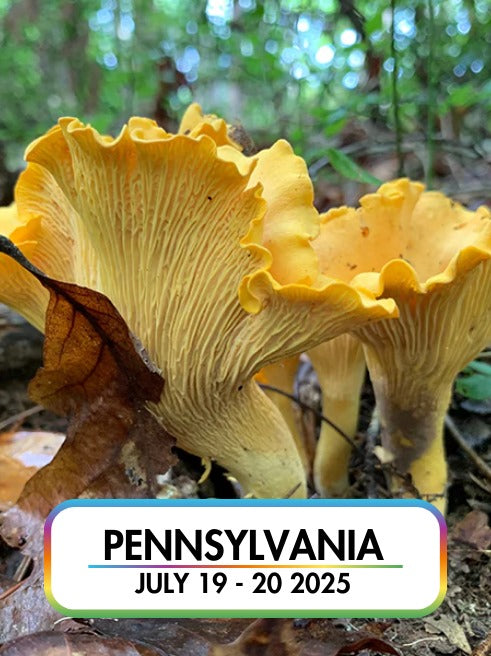 Wild Mushroom Food Safety Certification - PENNSYLVANIA - JULY 19-20, 2025