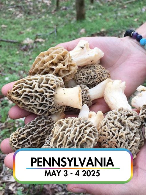 Wild Mushroom Food Safety Certification - PENNSYLVANIA - MAY 3-4, 2025