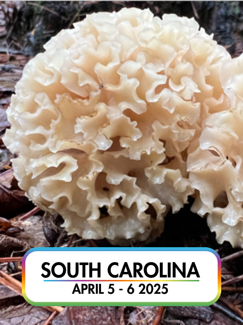 Wild Mushroom Food Safety Certification - SOUTH CAROLINA - APR 5-6, 2025