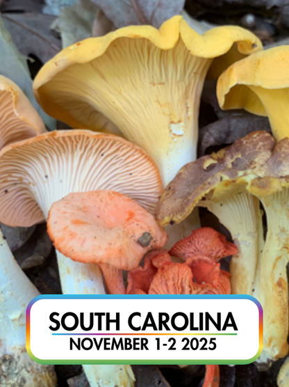 Wild Mushroom Food Safety Certification - SOUTH CAROLINA - NOV 1-2, 2025