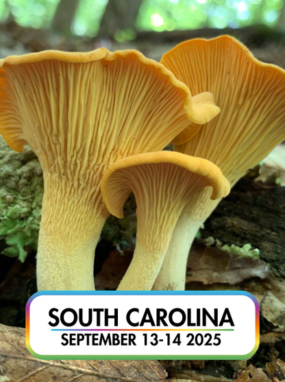 Wild Mushroom Food Safety Certification - SOUTH CAROLINA - SEPT 13-14, 2025