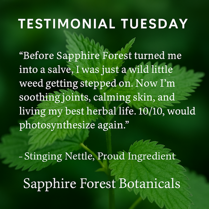 Stinging Nettle Salve