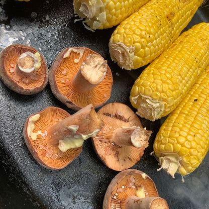 Mushroom Cooking Class at Mushroom Mountain