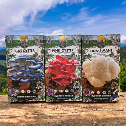 Gourmet Mushroom Collection