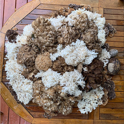 Taste Of The Forest: Hen Of The Woods Experience