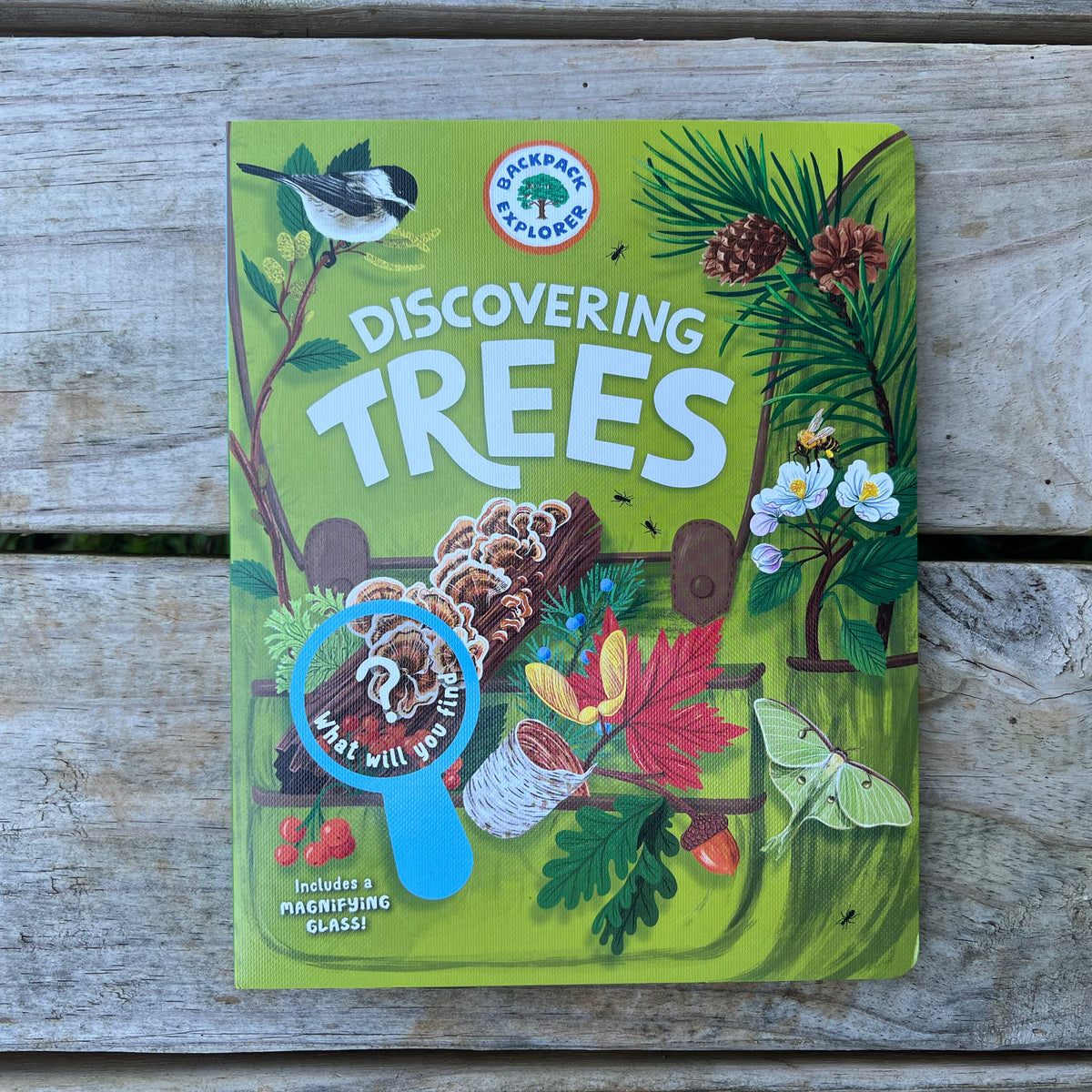 Discovering Trees Mushroom Mountain