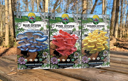 Oyster Mushroom Fruiting Kit - (Pleurotus spp.)