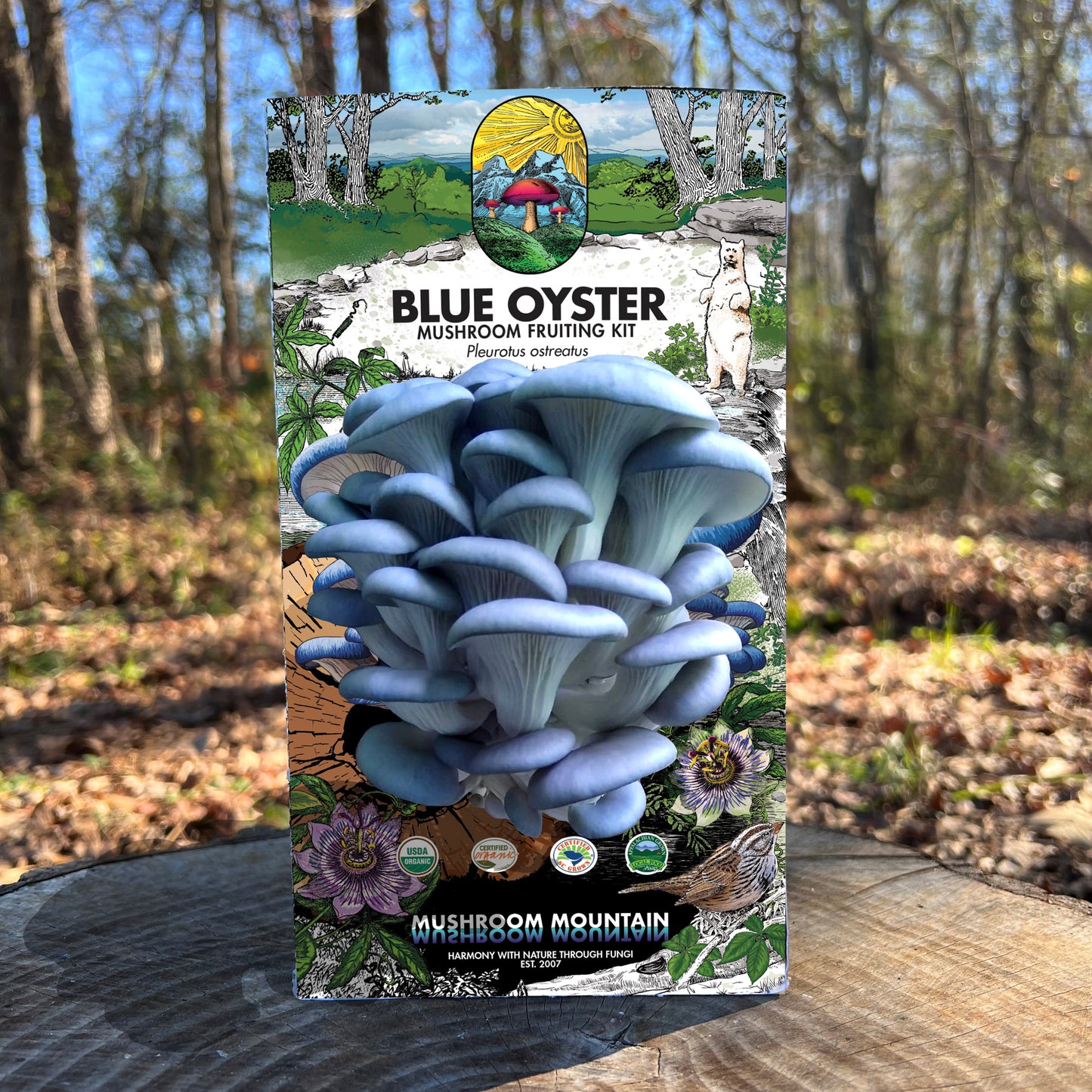 Oyster Mushroom Fruiting Kit - (Pleurotus spp.)