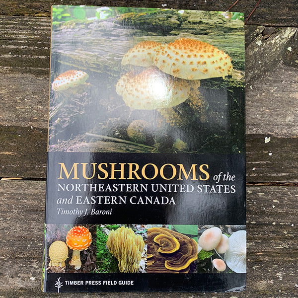 Mushroom identification guide northeast