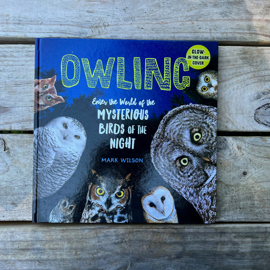 Owling: Mysterious Birds of the Night