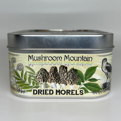 DRIED MOREL MUSHROOMS