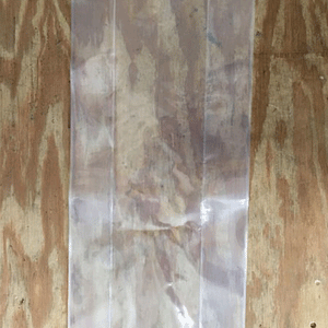 Oyster mushroom fruiting bags - 20 count