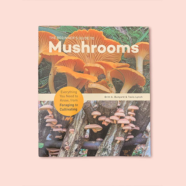 The Beginner's Guide to Mushrooms