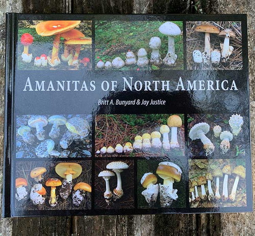 Amanitas of North America
