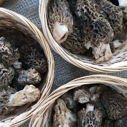 DRIED MOREL MUSHROOMS