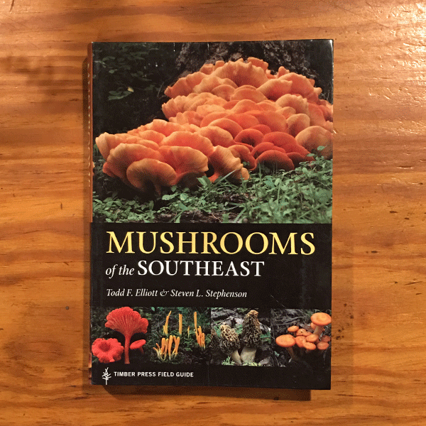 Mushrooms of the Southeast
