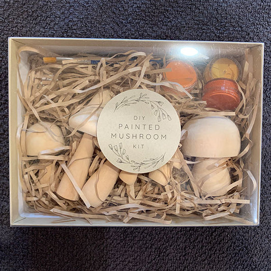 DIY Painted Mushroom Kit