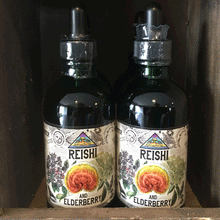 Load image into Gallery viewer, Reishi and Elderberry Tincture