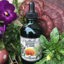 Load image into Gallery viewer, Reishi and Elderberry Tincture