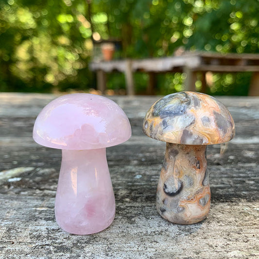 Crystal Mushroom