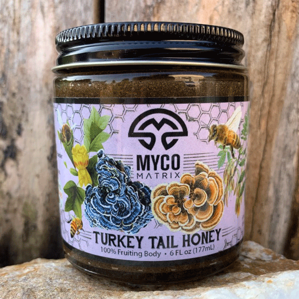 Turkey Tail MycoHoney(TM)