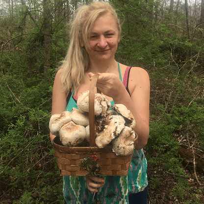 White Button Mushroom Fruiting Kit